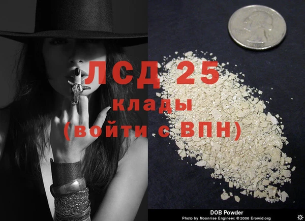 соль ск Кулебаки
