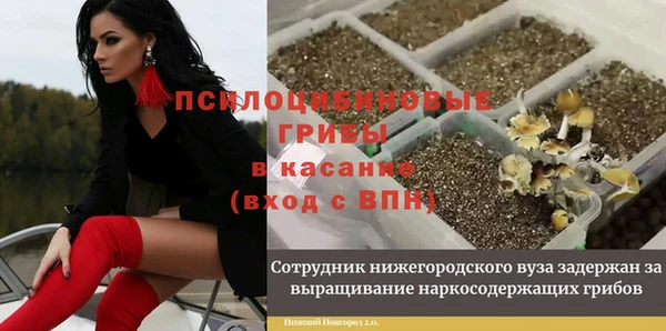 синтетический гашиш Ладушкин